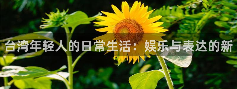 sunbet申慱官网：台湾年轻人的日常生活：娱乐与表达的新