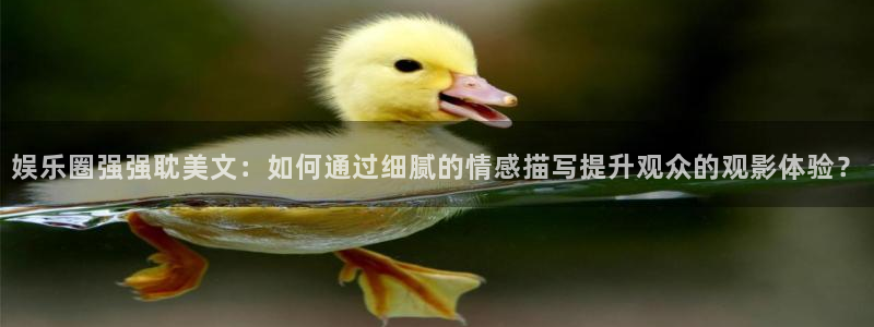 sunbet集团中国官网入口：娱乐圈强强耽美文：如何通过细腻的情感描写提升观众的观影体验？