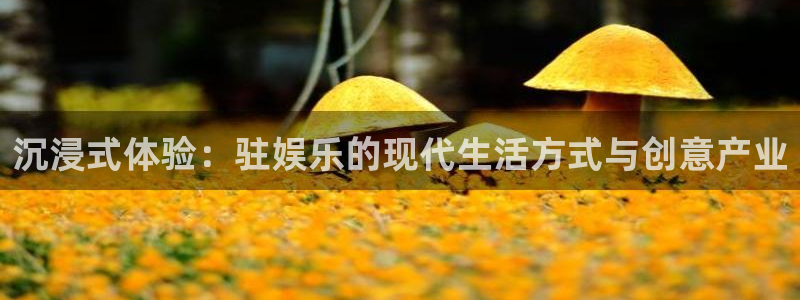 申搏sunbet官网手机版：沉浸式体验：驻娱乐的现代生活方式与创意产业