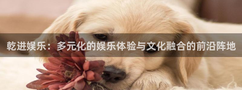 sunbet(中国区)官方网站：乾进娱乐：多元化的娱乐体验与文化融合的前沿阵地